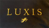 T-shirt Luxis Noir - Fame